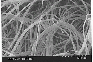 聚芳醚酮基微/纳米纤维的制备方法