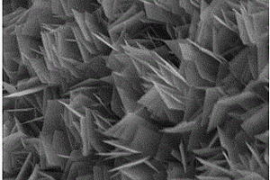 锌钴双金属硒化物纳米片电极及其制备方法