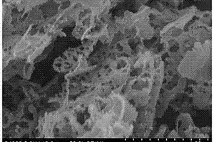 蜂窝状多级孔氮硫掺杂三维碳材料及其制备方法