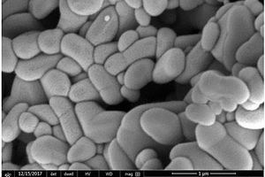 锡钒钴锰复合氧化物纳米颗粒及其制备方法