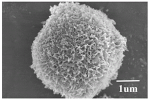 海胆状二氧化钛多级微球负极材料的制备方法