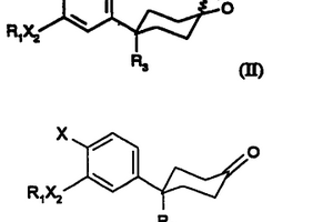 用于制备取代的4-苯基-4-氰基环己酸的化合物和方法
