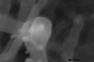 三维碳纳米管/氮掺杂石墨烯/硫电极片的制备方法