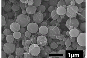 聚酰亚胺/二氧化硅微球及其制备方法
