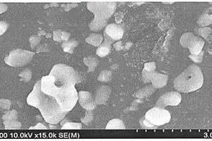 高效液相合成LiVO<Sub>2</Sub>纳米片和纳米球电池材料的微观结构控制方法