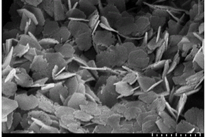 碳包覆TiNb2O7多孔纳米片负极材料的制备方法
