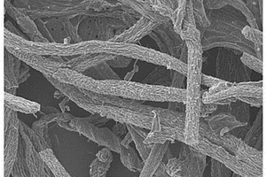 N掺杂碳微米纤维材料及其制备方法和应用