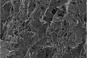 氮掺杂多孔石墨烯聚集体及其制备方法和应用