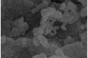 碳包覆二氧化锡纳米颗粒的制备及应用
