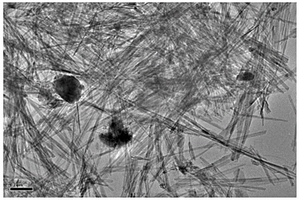 磁场取向有机改性磁性纳米纤维掺杂制备固态聚合物电解质的方法