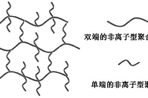 刷状固态离子导体材料及其制备方法