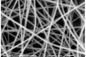 含有温敏材料的二氧化钛纳米纤维的制备方法