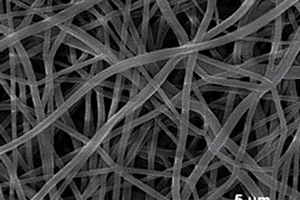 具有氮掺杂介孔碳修饰的二氧化钛纳米纤维的制备