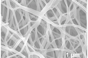 基于碳纤维负极材料的钠基双离子电池的制备方法