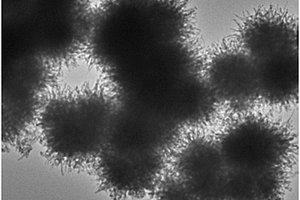 具有微纳分级结构的海胆状五氧化二铌微球及其制备方法