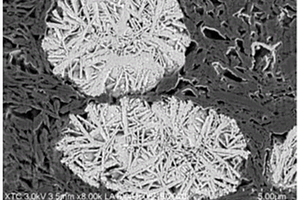 具有微观裂纹结构的氢氧化钴、其制备方法和应用