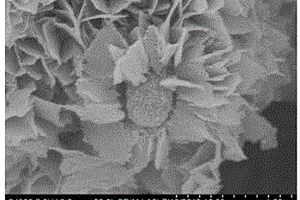 纳米片组装的核壳结构锐钛矿二氧化钛微球及其制备方法