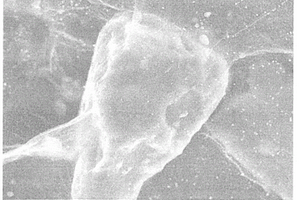 氮掺杂石墨烯包裹微米硅复合材料的制备方法