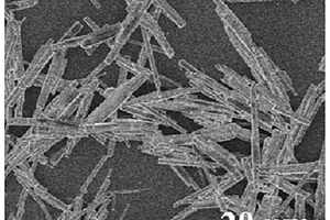 钛酸盐/碳复合材料及其制备方法和应用
