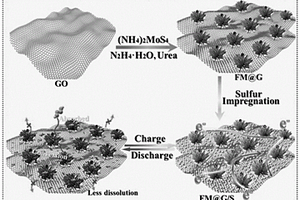 石墨烯负载高导电硫化钼纳米花材料的制备方法和用途