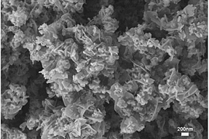 BiOF材料的制备方法及其应用