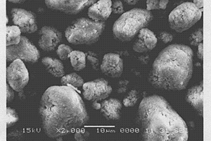 含钴镍的多组分氧化物及其制备方法及其应用