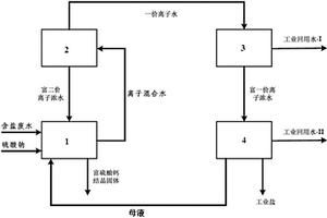 分离含盐废水中一价盐和二价盐的方法和系统