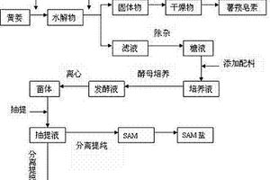 薯蓣皂素生产废水处理方法及联产GSH和SAM的新工艺