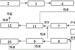 高盐废水处理及资源化系统