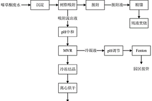 嗪草酮废水达标排放协同盐资源化的处理工艺及其运行方法