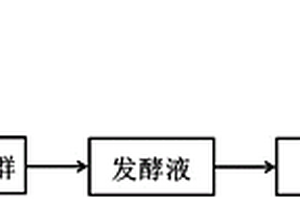 处理淀粉废水同时生成可再生能源的方法