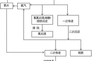 硫酸镁硫酸铵混合废水资源化处理工艺及系统