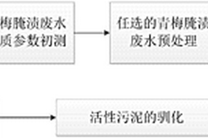 青梅腌渍废水生化处理方法