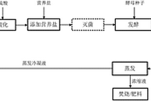 将糖蜜酒精废水蒸发冷凝液回用于酒精发酵的工艺