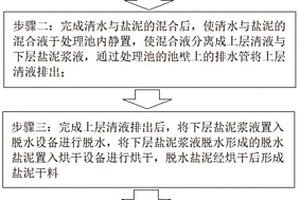 废水处理生成的半干态盐泥掺杂代脱硫剂处理工艺