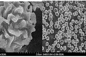 黑曲霉孢子处理六价铬重金属废水的方法