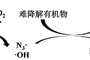 叠氮化钠在降解有机物中的应用及臭氧处理有机废水方法
