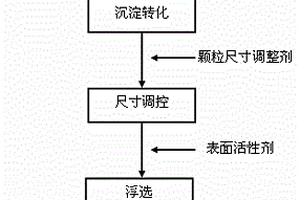 废水中金属离子沉淀转化及浮选脱除的复合调控剂及方法