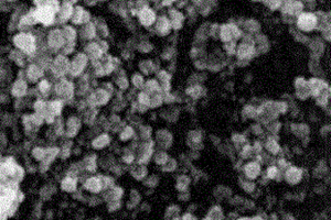 磁性纳米Fe3O4生物催化制备法及其在含铀废水处理中的应用