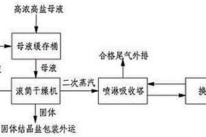 废水零排放中高浓高盐母液的处理工艺