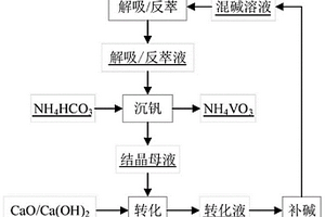 无废水排放的偏钒酸铵制备方法