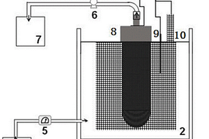 超声辅助活性膜电极处理氯酚废水的装置及处理方法