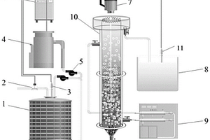 零价铁与富里酸协同强化厌氧氨氧化的废水处理方法