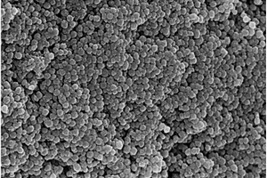 磁性碳微球在去除废水中六价铬的应用