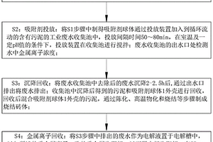 工业废水中重金属离子去除工艺