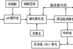 焦化废水稳定达标深度处理系统