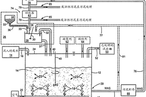 用于处理废水的压载序批式反应器系统和方法