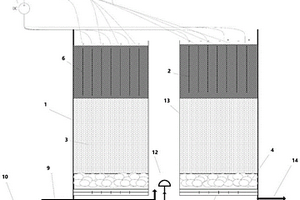 电催化内循环曝气生物滤池和废水的曝气方法