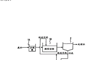 有机性废水的生物处理方法和装置