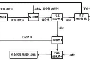 用于处理重金属废水及回收重金属处理剂的装置